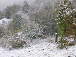 foto paesaggi invernali nevicate 2003 8